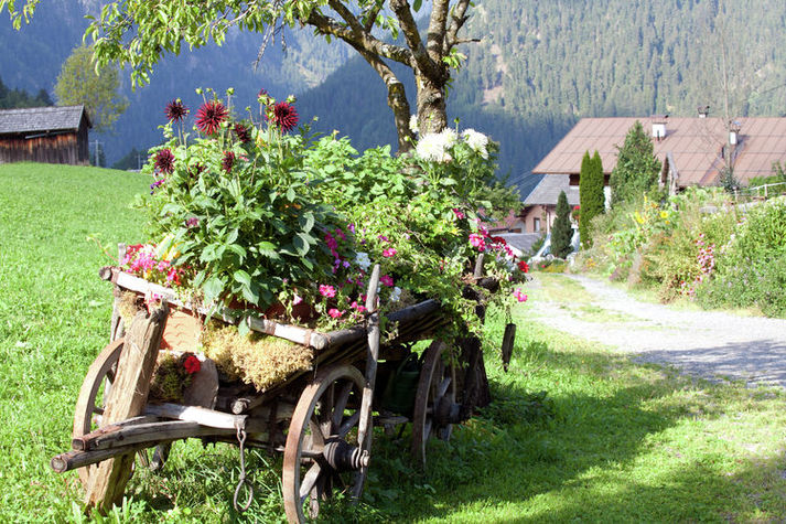 GardenSummer