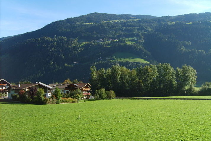 ViewSummer
