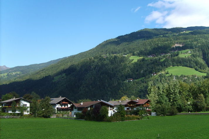 ViewSummer