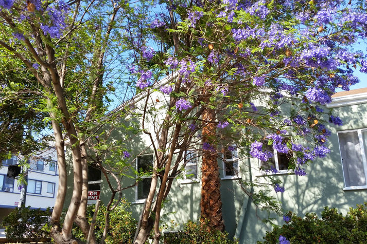 Holiday Home walk to Mondarin Hotel