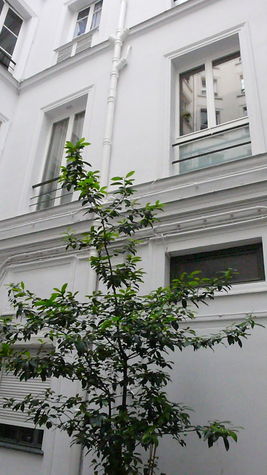 Les Fenêtres sur Cour