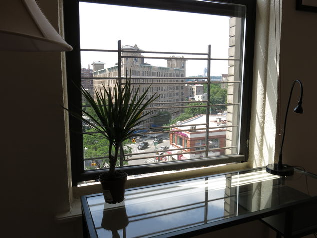 The view through your window
