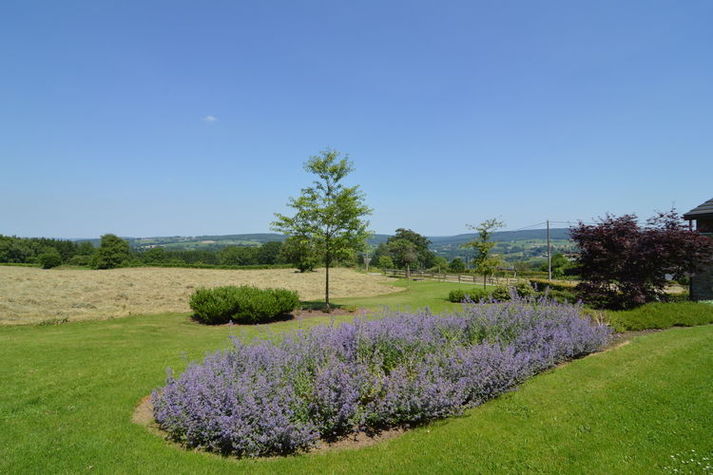GardenSummer