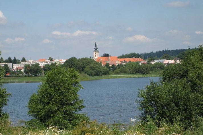 AreaSummer5KM