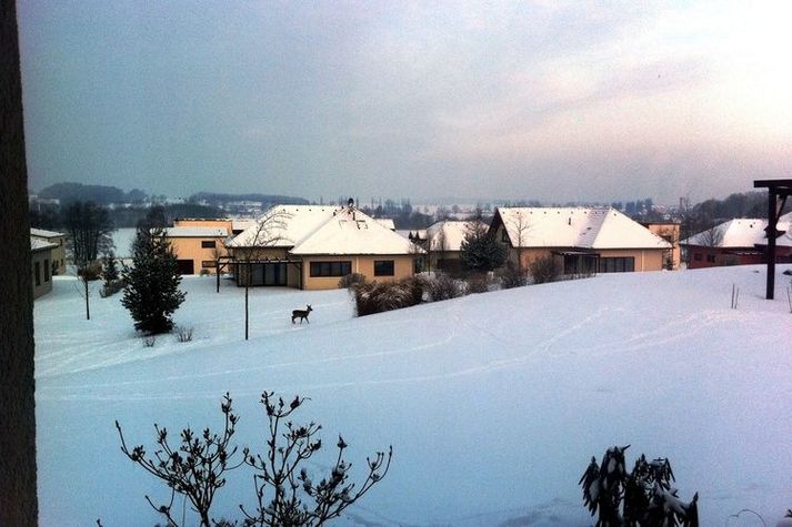 ExteriorWinter