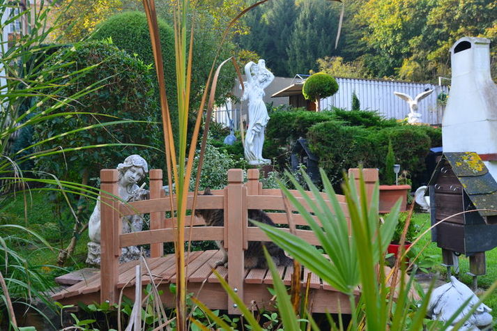GardenSummer