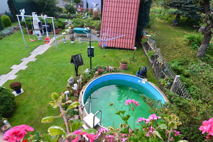 ViewSummer