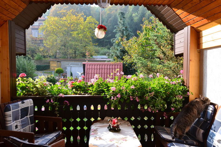 ViewSummer