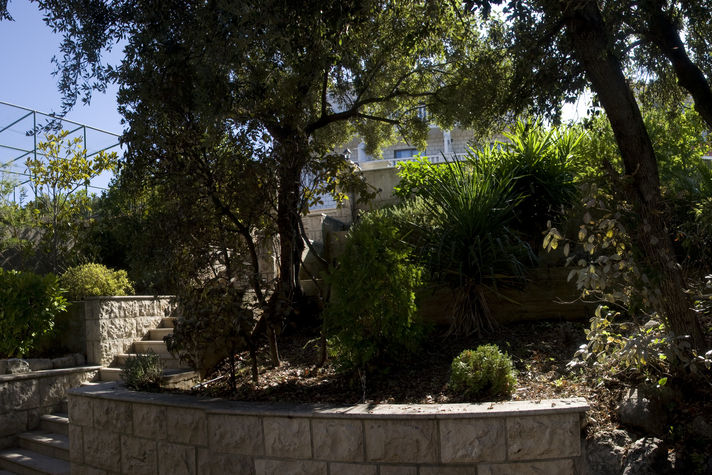 Garden between road and house