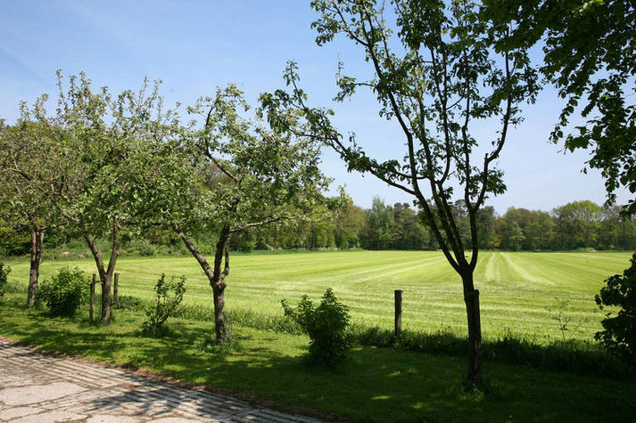 AreaSummer1KM