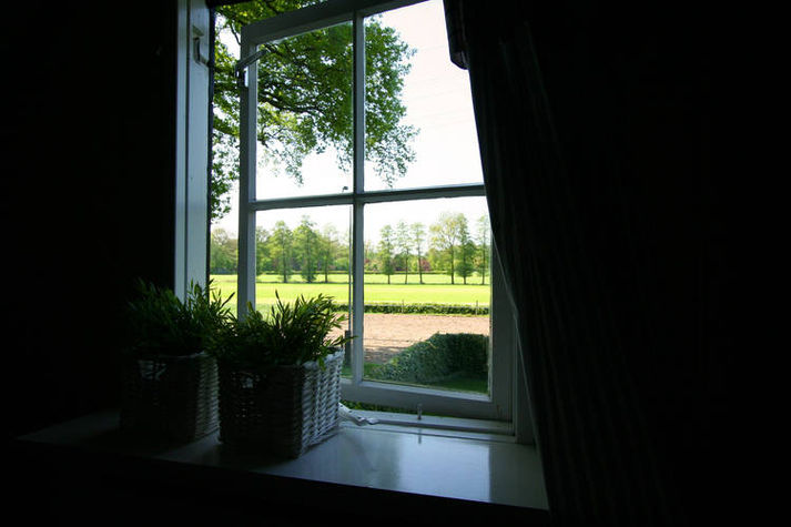 ViewSummer