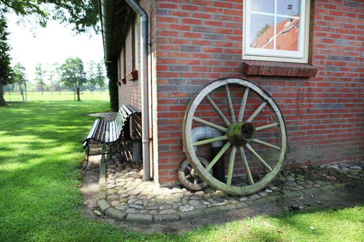 GardenSummer