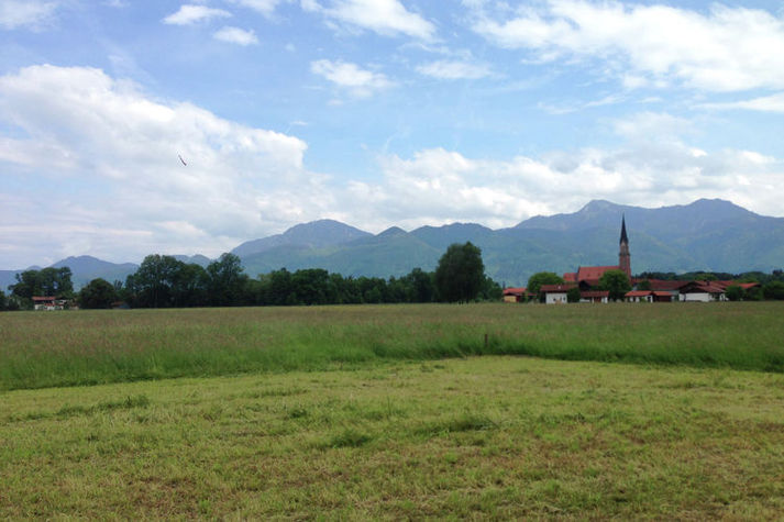 ViewSummer