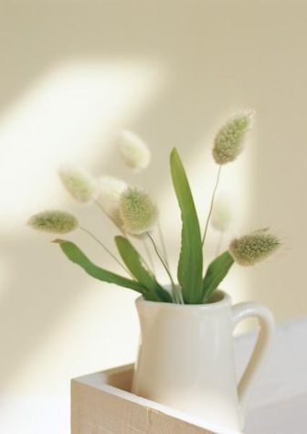 little warm details