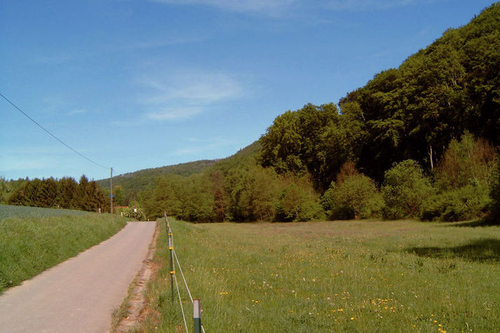 AreaSummer5KM