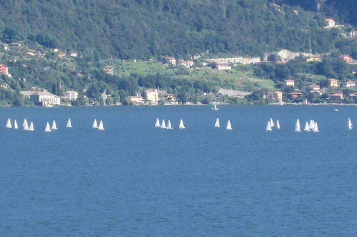 ViewSummer