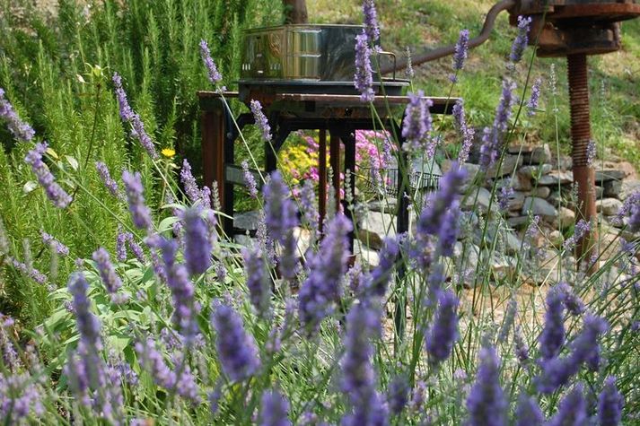 GardenSummer