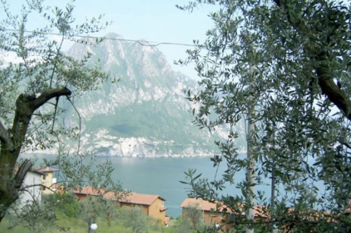 ViewSummer