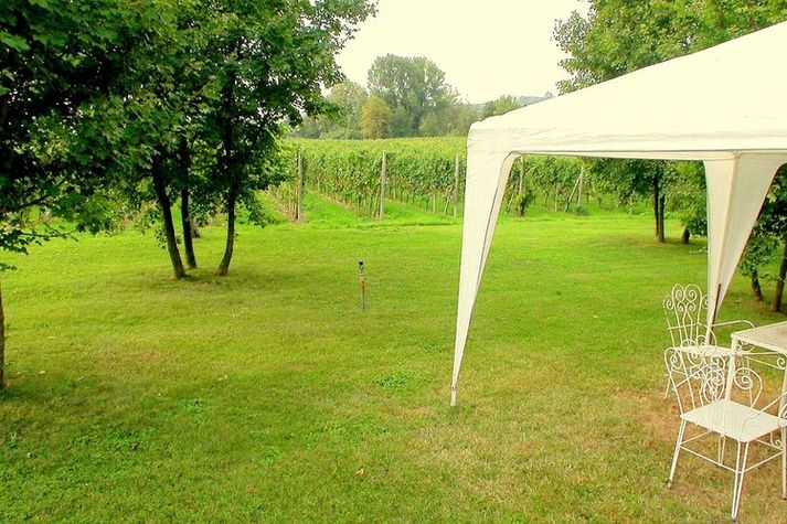 GardenSummer