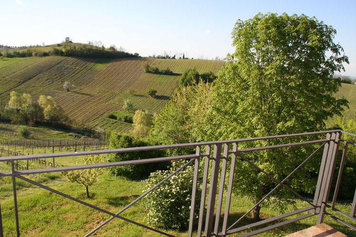 ViewSummer
