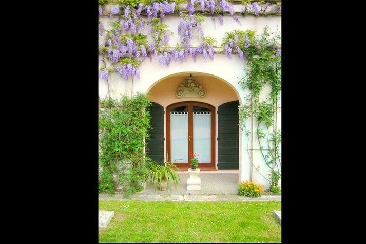 GardenSummer