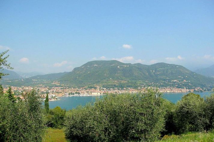 ViewSummer