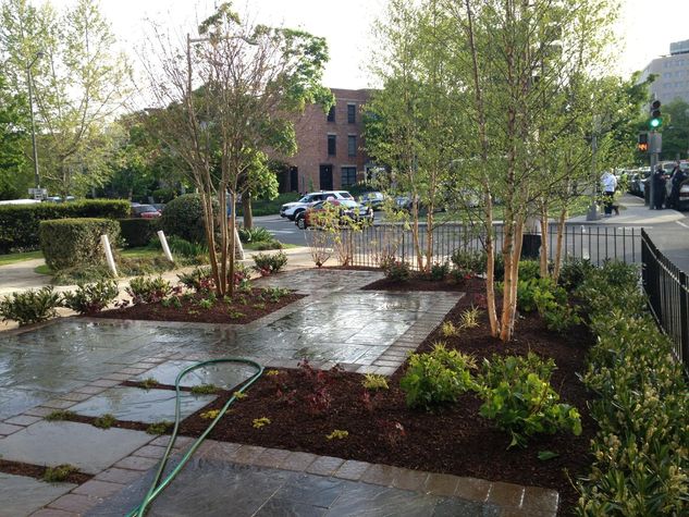 newly landscaped patio