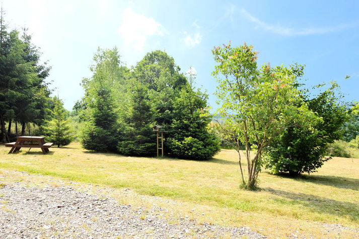 GardenSummer