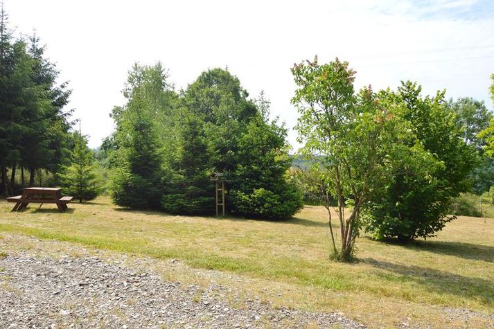 GardenSummer