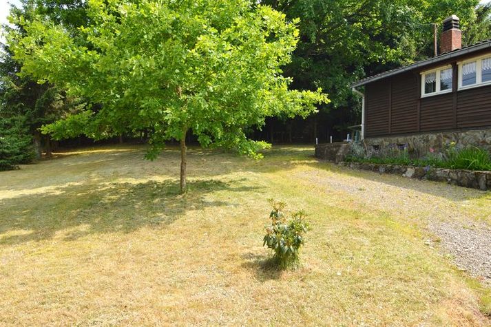 GardenSummer