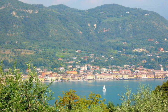 ViewSummer