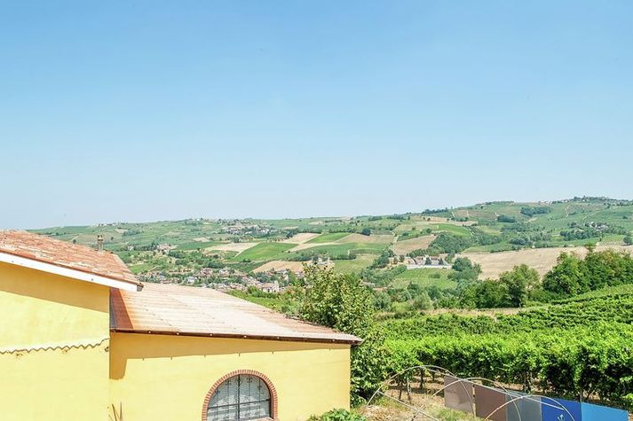 ViewSummer