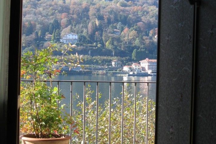 ViewSummer