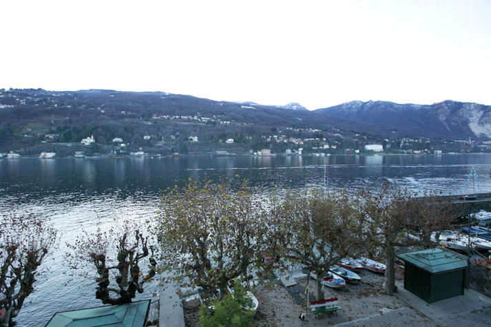 ViewSummer