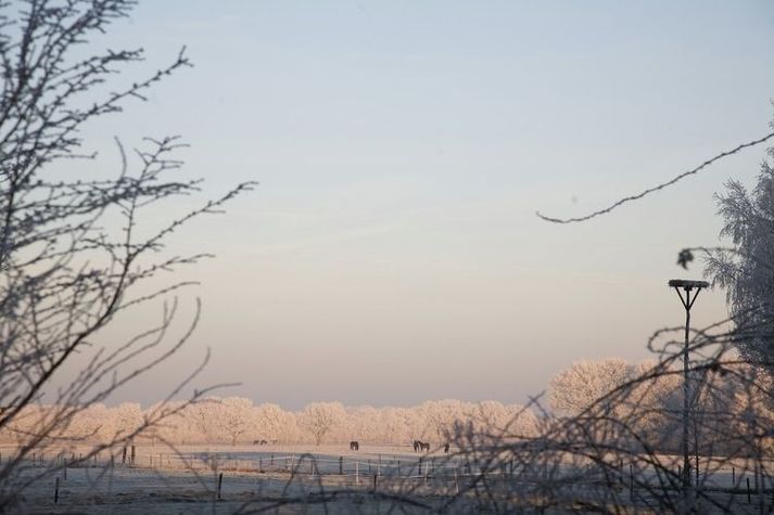 GardenWinter