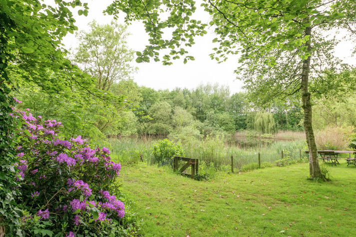 GardenSummer