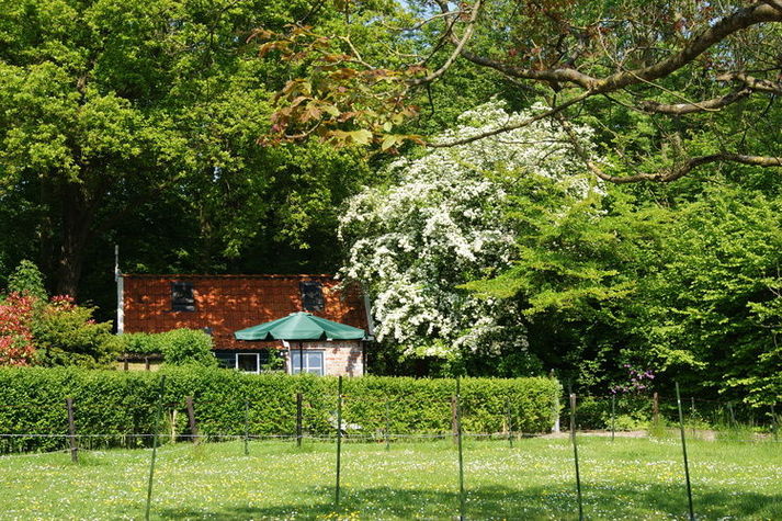 GardenSummer
