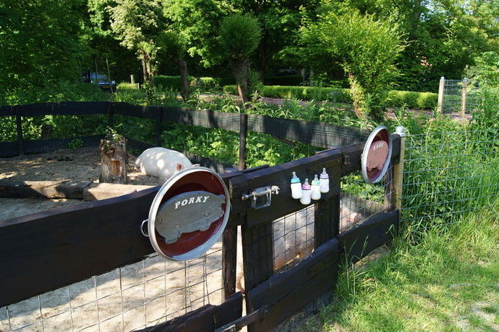 GardenSummer