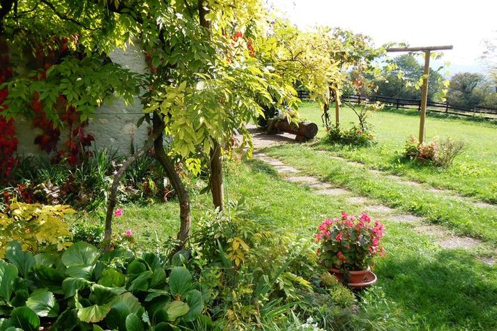 GardenSummer