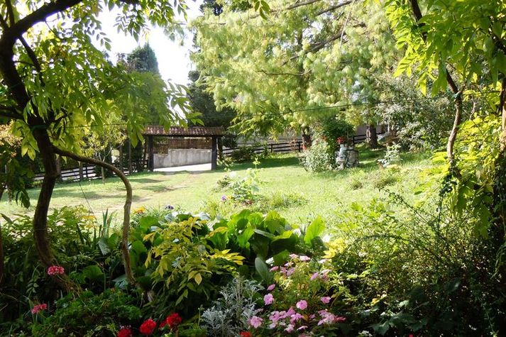 GardenSummer