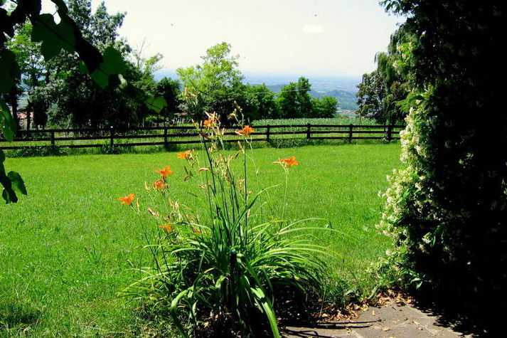 GardenSummer