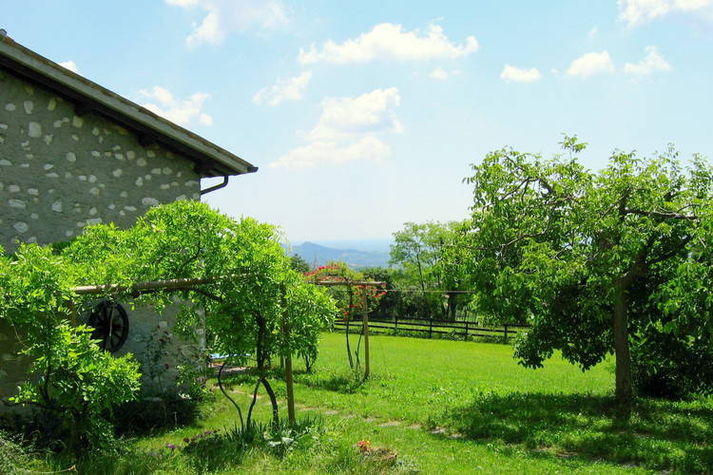 GardenSummer