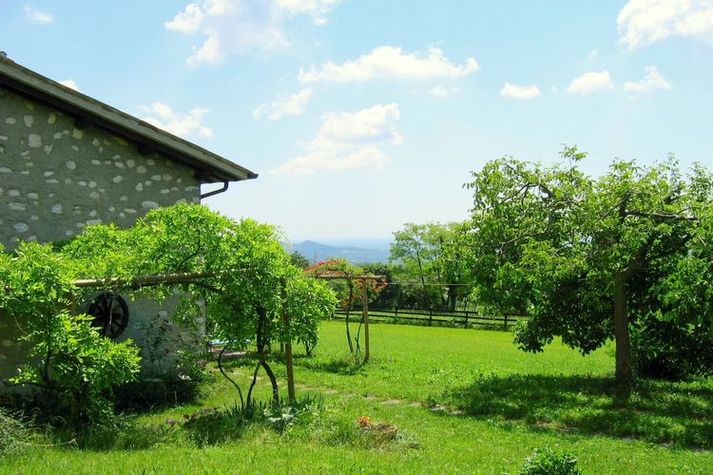 GardenSummer