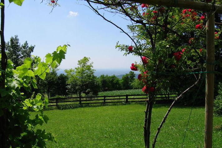 ExteriorSummer