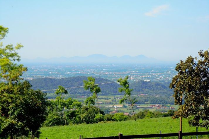 ViewSummer