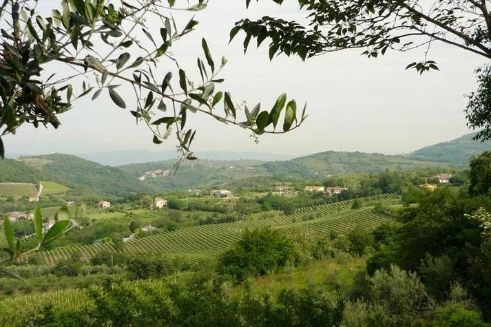 ViewSummer