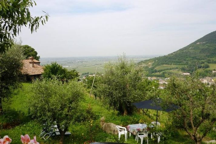 ViewSummer