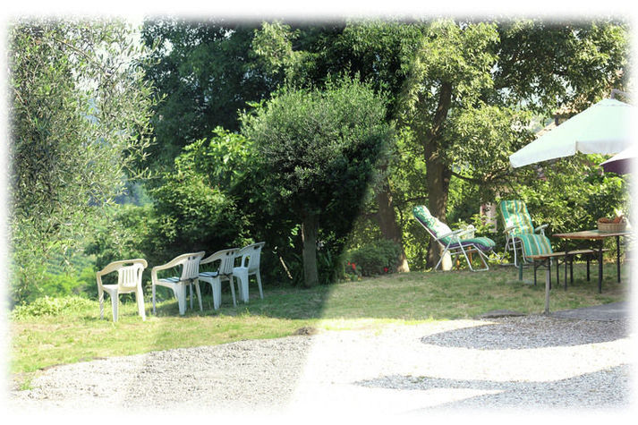 GardenSummer