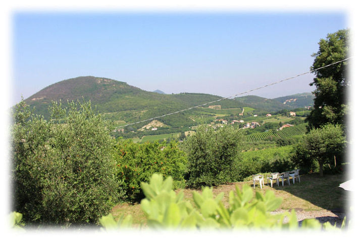 ViewSummer