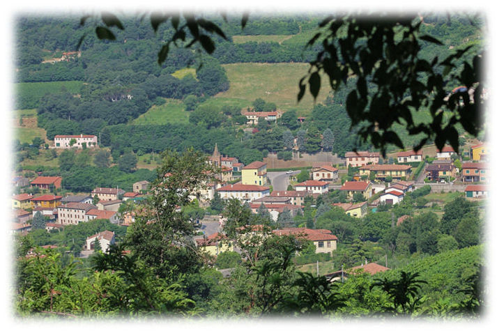 ViewSummer